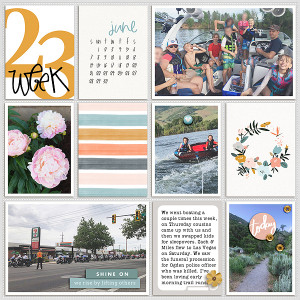 week 23