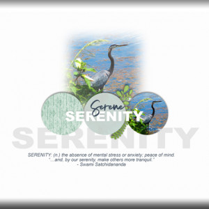 ATC-2020-092-Serenity