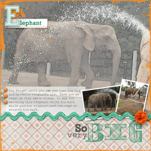 San Diego Zoo 2