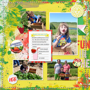 Strawberry Picking