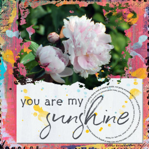 You Are My Sunshine Gardening