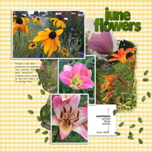 06sahlinstudio_juneflowers