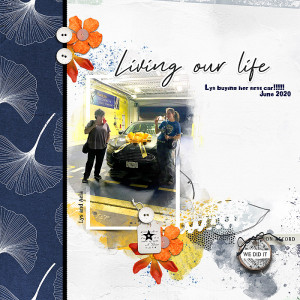 2020-Lys-new-car-lgrieveson_challenge_tp_june