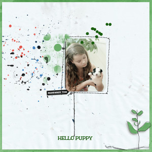 Hello Puppy