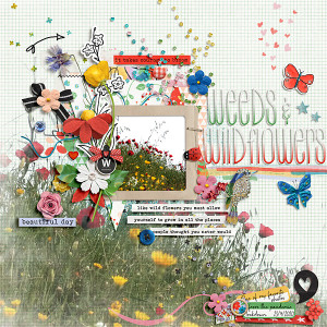 Weeds and wildflowers