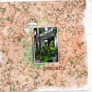 Peacefull Garden District