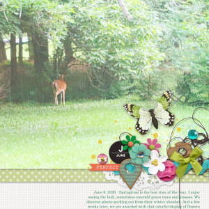 Pink-Reptile-Designs_2020-07_July_SOSN_0708_Captured_web