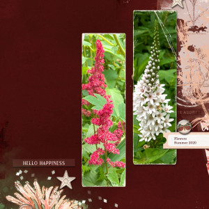 Lynn-Grieveson_2020-07_July_Challenge_recipe_web