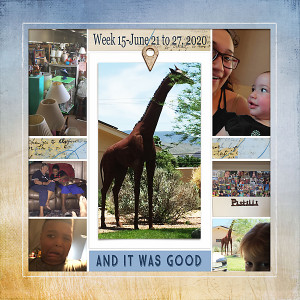 150-giraffe-week-copy