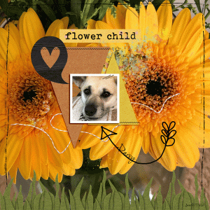 Prd_flowerchild