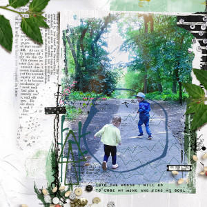 Into the woods I will go