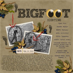 Bigfoot Sighting