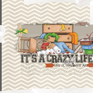 crazy, wild life