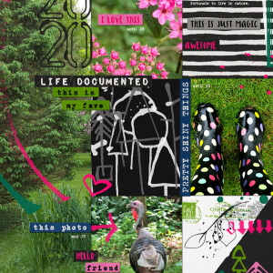 2020-07_July-TLP_Xmas_NonXmas-Page_web
