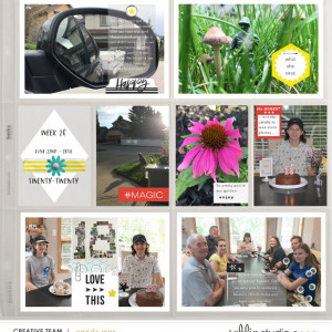 PL2020 - Week 26 | Sahlin Studio