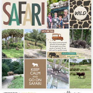 Safari June 2019