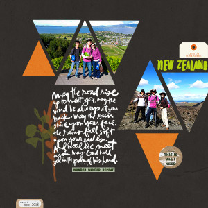 NZ Trip Cover
