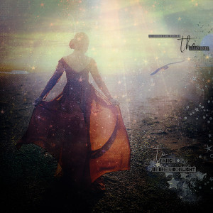 DANCE IN THE MOONLIGHT