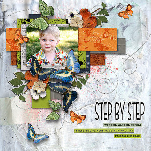 Rjstepbystep