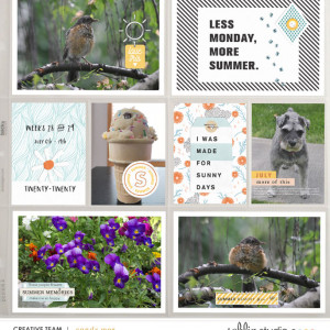PL2020 - Weeks 28&29 | Sahlin Studio