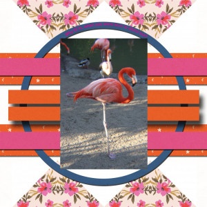 August Sahin Designs Designer Challenge Born To Stand Out.