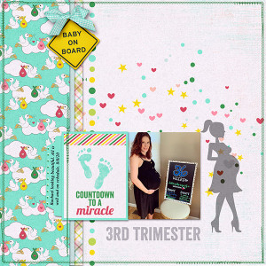 3rd Trimester