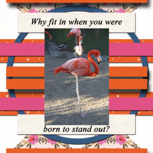 August Sahin Designs Designer Challenge Born To Stand Out. Take 3