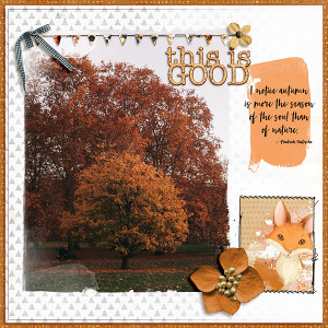 Autumn leaves