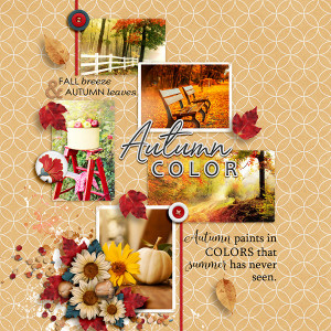 Autumn Color