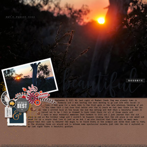 BEAUTIFUL GOODBYE