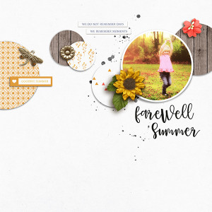 Farewell Summer