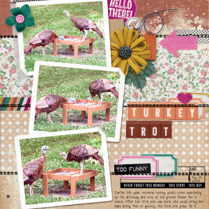Pink-Reptile-Designs_2020-09_September_SOSN_0923_Awesome-Sauce_web