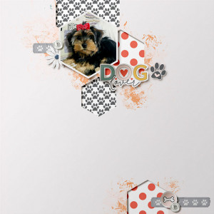 dog lover
