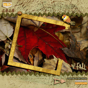 Fall