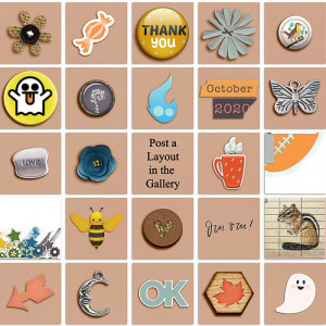 BINGO-card