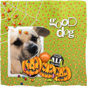 Kimjensen_good Dog