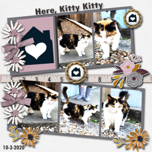 Sahlin Studio October Template Challenge