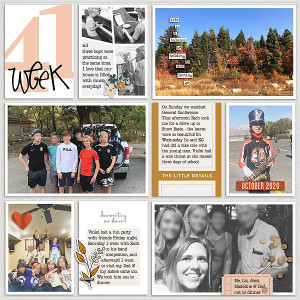 week 41