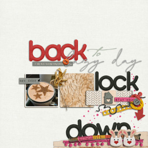 2020ViralChronicles_Back2LockDown