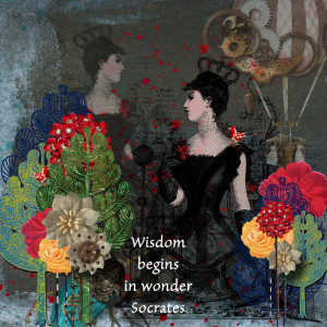 Wisdom Begins In Wonder