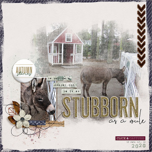 Stubborn
