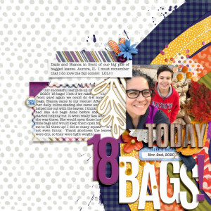 18 BAGS!