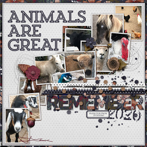 Animals are Great