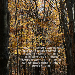 Nov 7 - 30 Days of Thankful