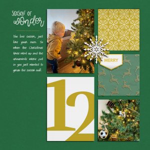 Season Of Wonder