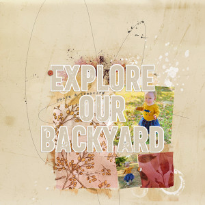 Explore Our Backyard