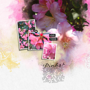 LOVE THESE PINKS