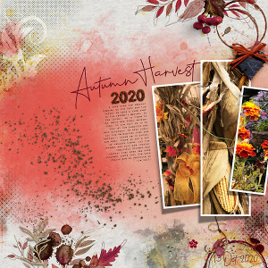 Autumn Harvest