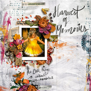 Harvest Of Memories