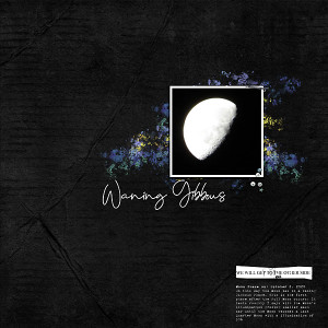Waning Gibbous